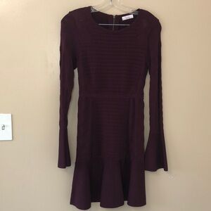 Parker Dark Purple Dress. Size S.